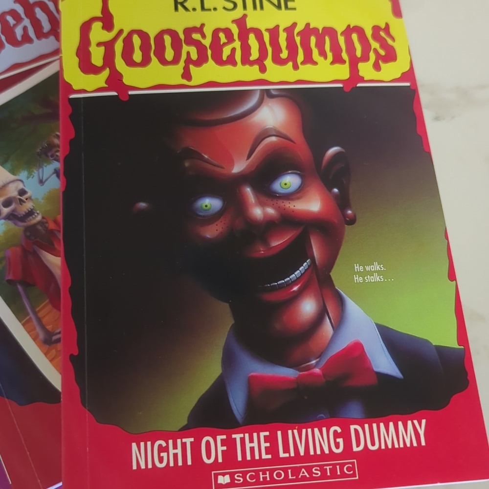 RL STINE GOOSEBUMPS BOOK SET TIN - Picture 6 of 8